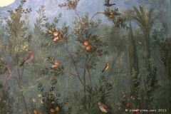fresques murales de la Villa Livia, à Rome. Ier siècle. Vue n°3
