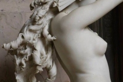 Berenice’s tresses, 1878 ; Ambrogio Borghi